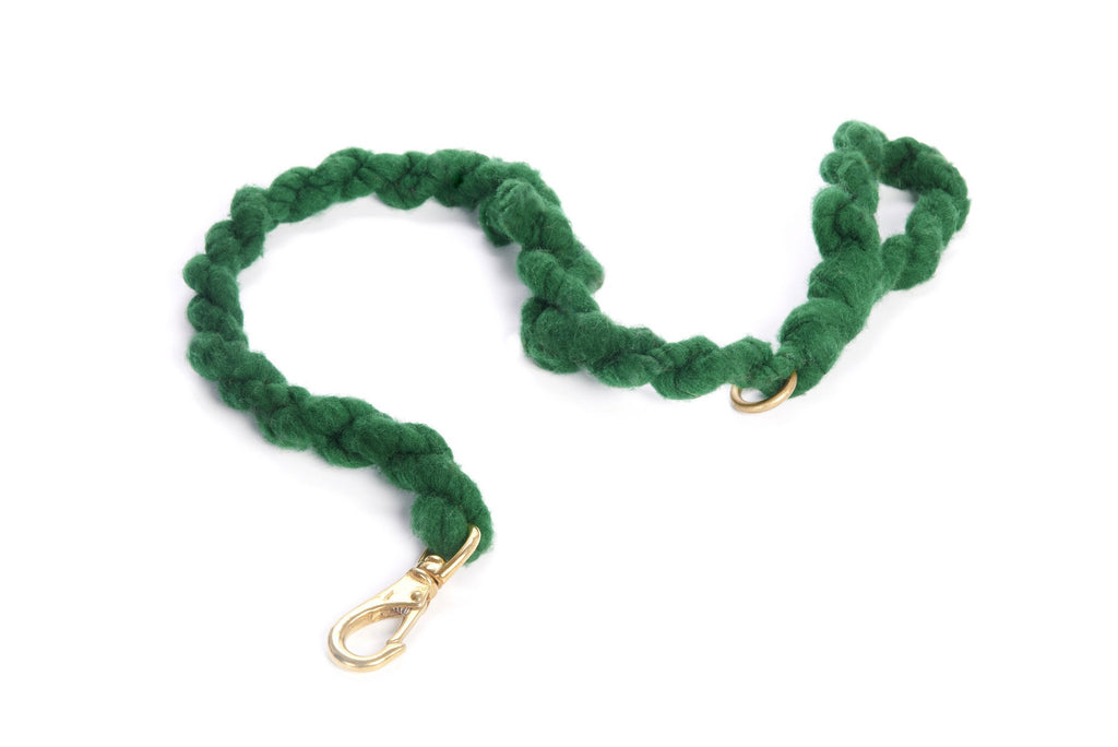 LOOPY MANGO | DIY Dog Leash Kit in Emerald Leash LOOPY MANGO   