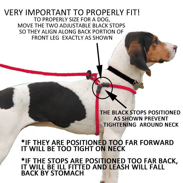 Harness Lead in Black Reflective WALK HARNESS LEAD   