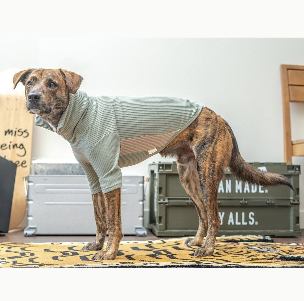 High Neck Dog Tee in Sage Green (FINAL SALE) Wear THE FURRY FOLKS   