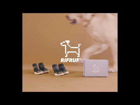 Caesar Dog Sneakers in Black Wear RIFRUF