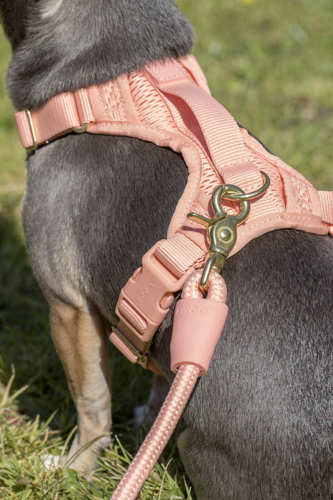 Huggie Dog Harness in Peach WALK AWOO   