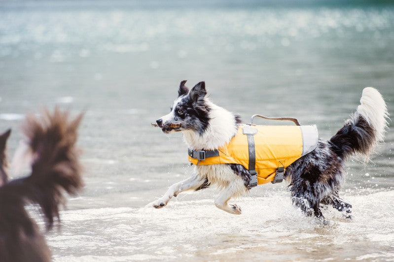 Life Savior Dog Life Jacket in Golden Yellow (FINAL SALE) Wear HURTTA   