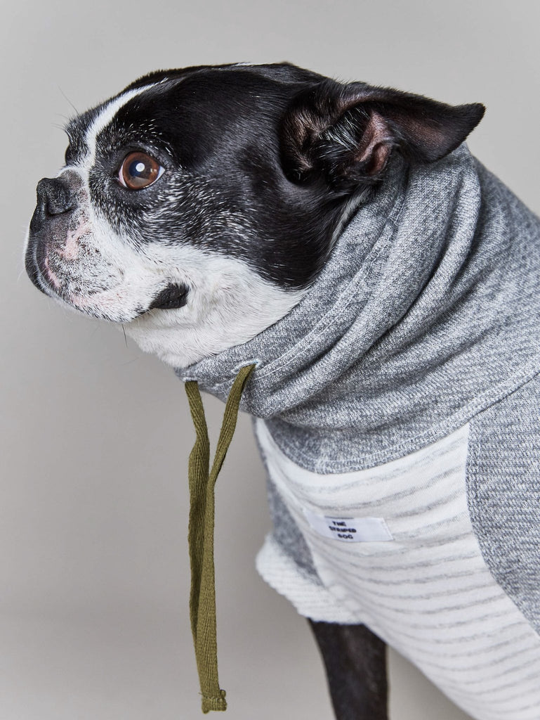 Oxford Stripe Dog Funnel Neck Pullover<br>((CLEARANCE) Wear THE STRIPED DOG   