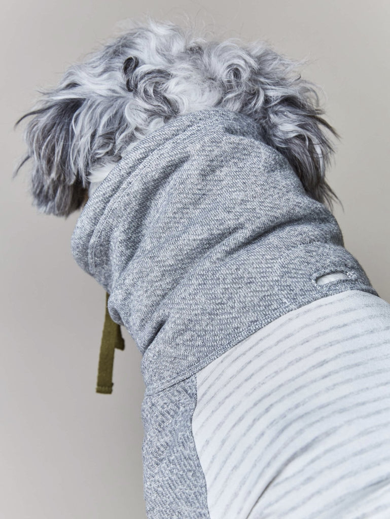 Oxford Stripe Dog Funnel Neck Pullover<br>((CLEARANCE) Wear THE STRIPED DOG   