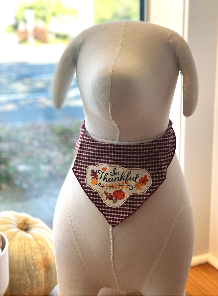 So Thankful Thanksgiving Dog Bandana Wear TAIL TRENDS   