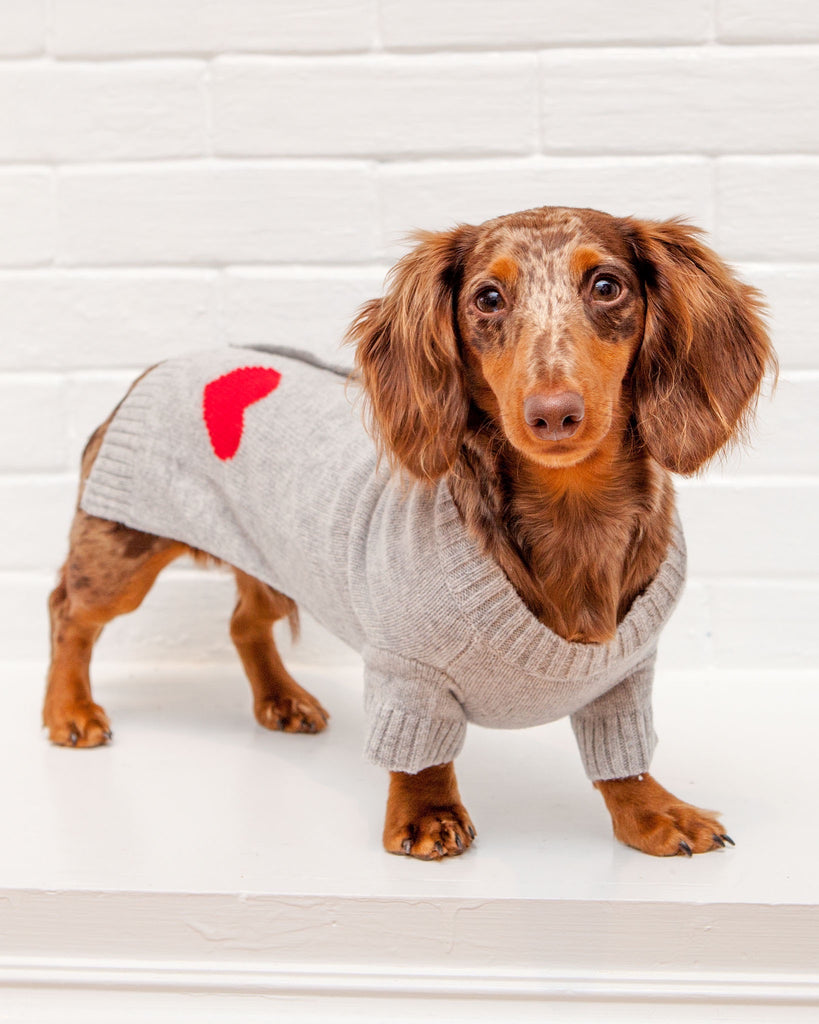 Heart Merino Wool Dog Cardigan Sweater in Grey (FINAL SALE) Wear WARE OF THE DOG   