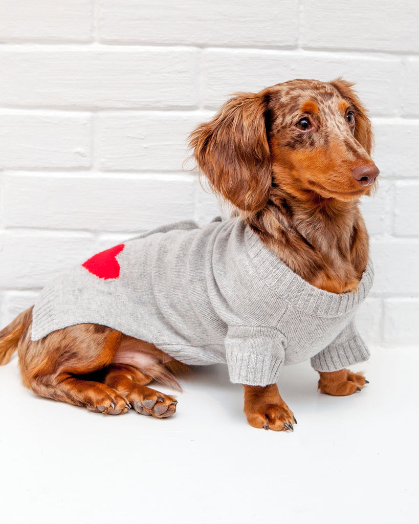 Heart Merino Wool Dog Cardigan Sweater in Grey (FINAL SALE) Wear WARE OF THE DOG   
