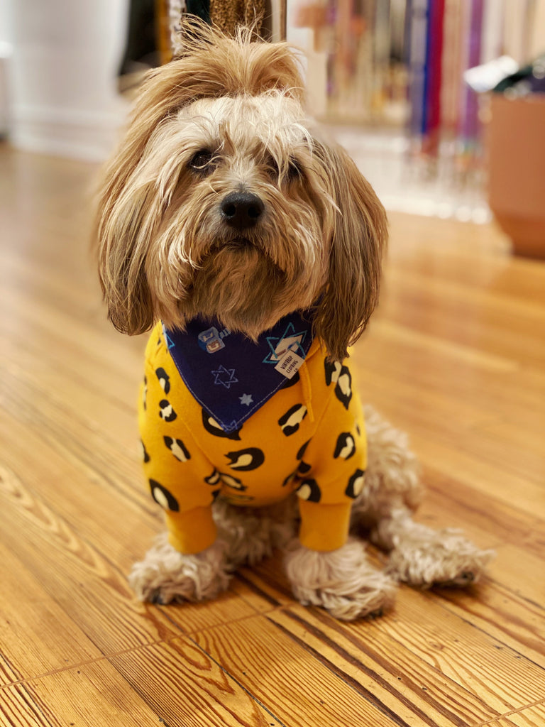 Yappy Hanukkah Dog Bandana << FINAL SALE >> Wear Winthrop Clothing   