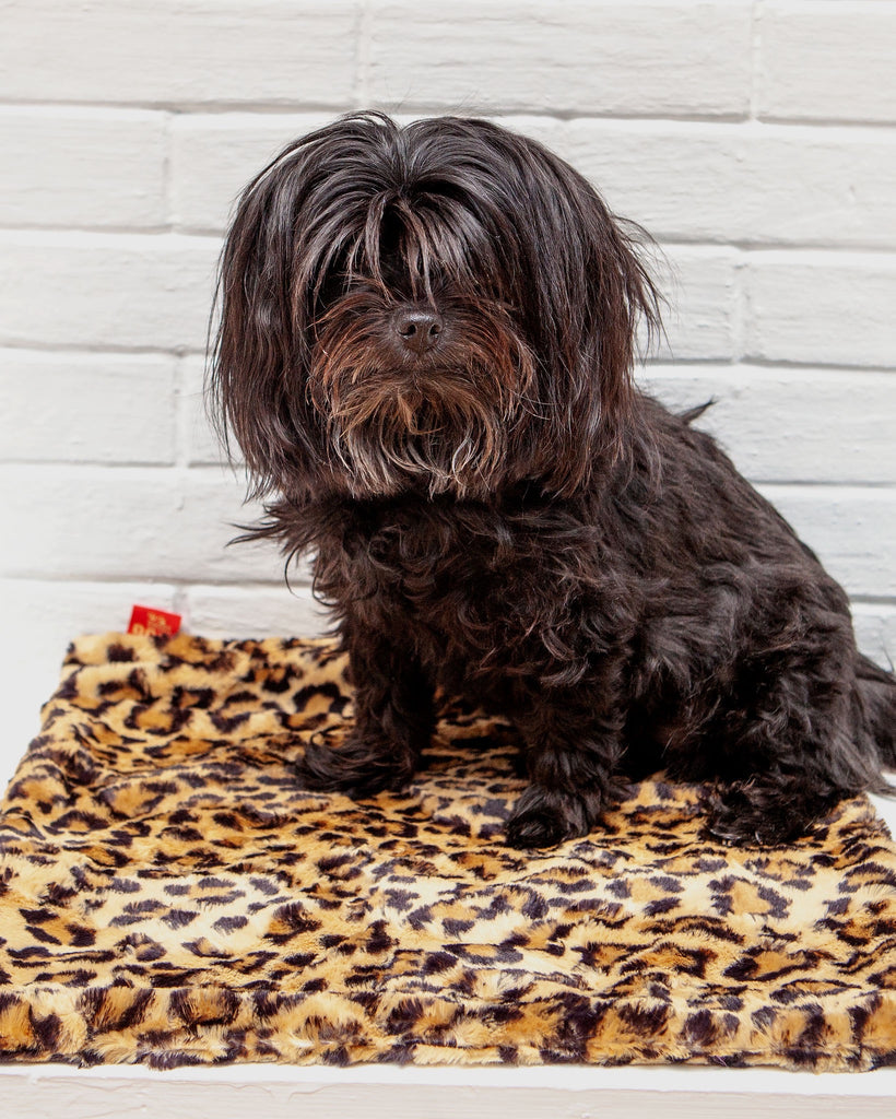 Plush Dog Blanket in Sand Leopard HOME THE DOG SQUAD   