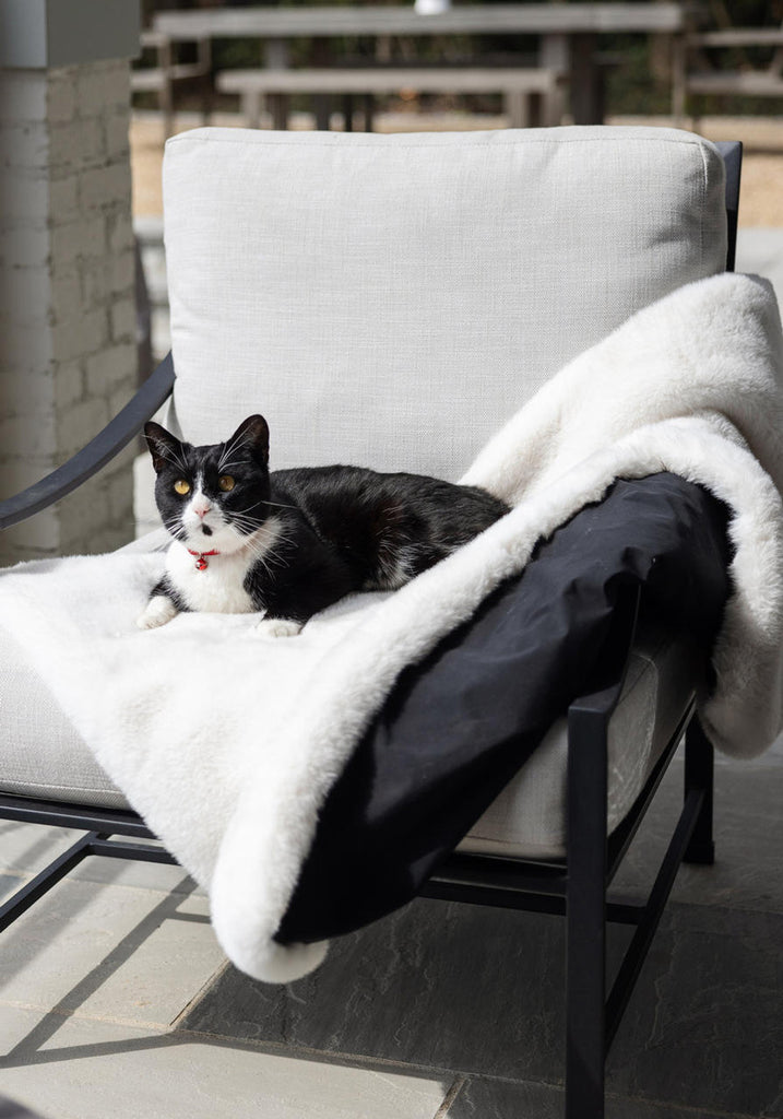 Faux Mink Dog Blanket in Ivory (Made in the USA) HOME FABULOUS FURS   