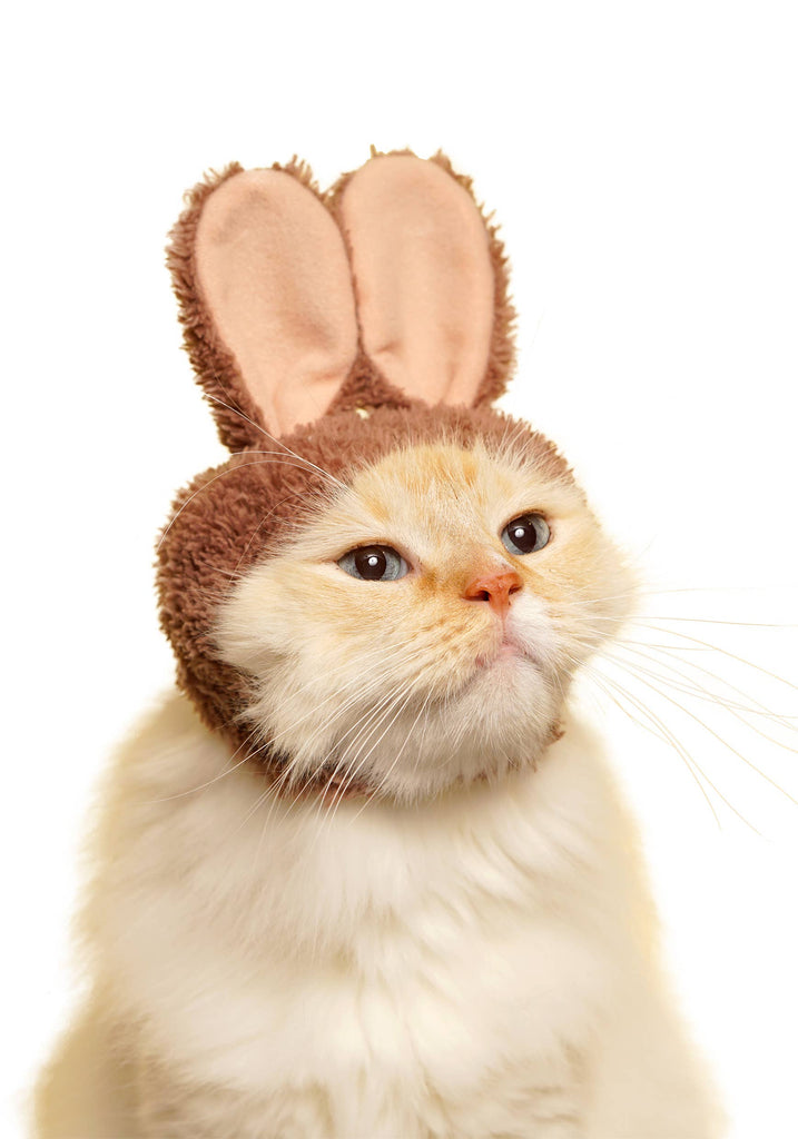 Rabbit Cap for Cats (Surprise Box) CAT KITAN CLUB   