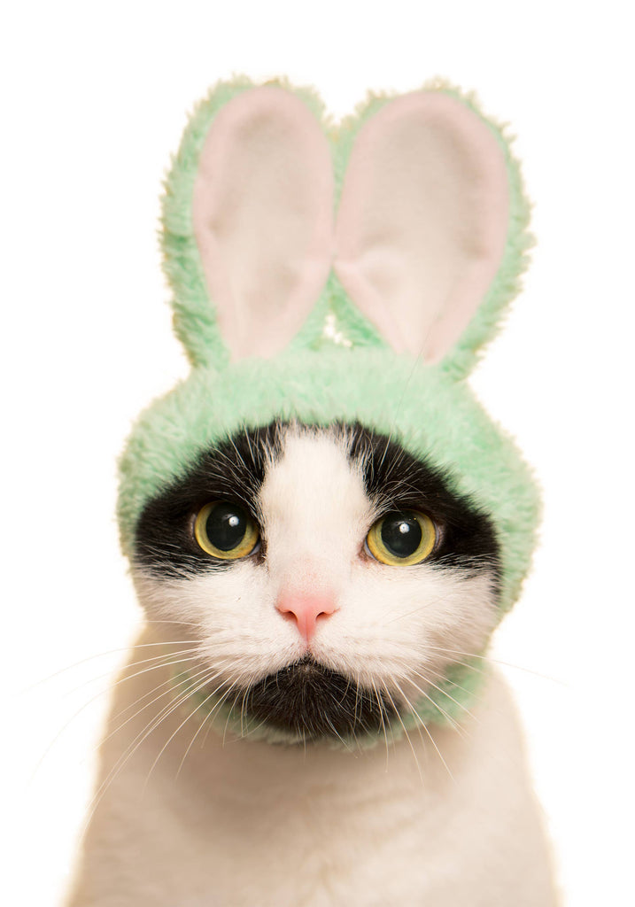 Rabbit Cap for Cats (Surprise Box) CAT KITAN CLUB   