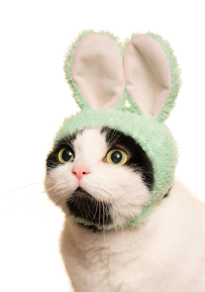 Rabbit Cap for Cats (Surprise Box) CAT KITAN CLUB   