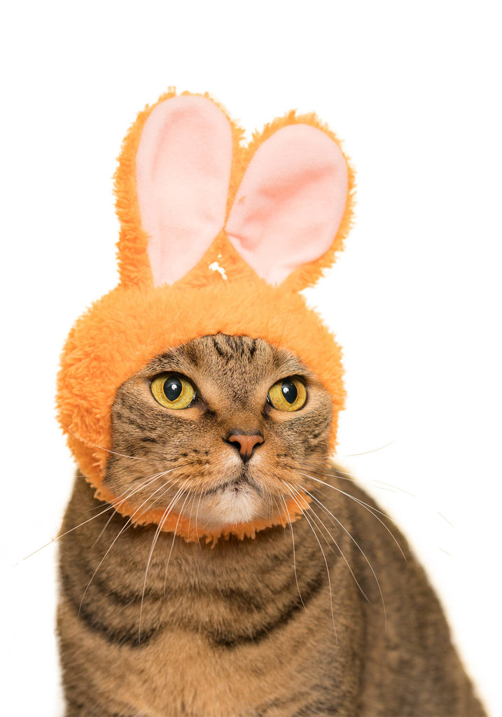 Rabbit Cap for Cats (Surprise Box) CAT KITAN CLUB   