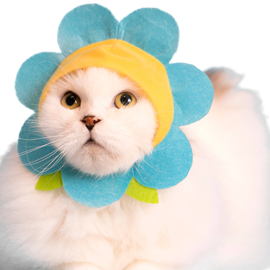 Flower Cap for Cats (Surprise Box) CAT KITAN CLUB   