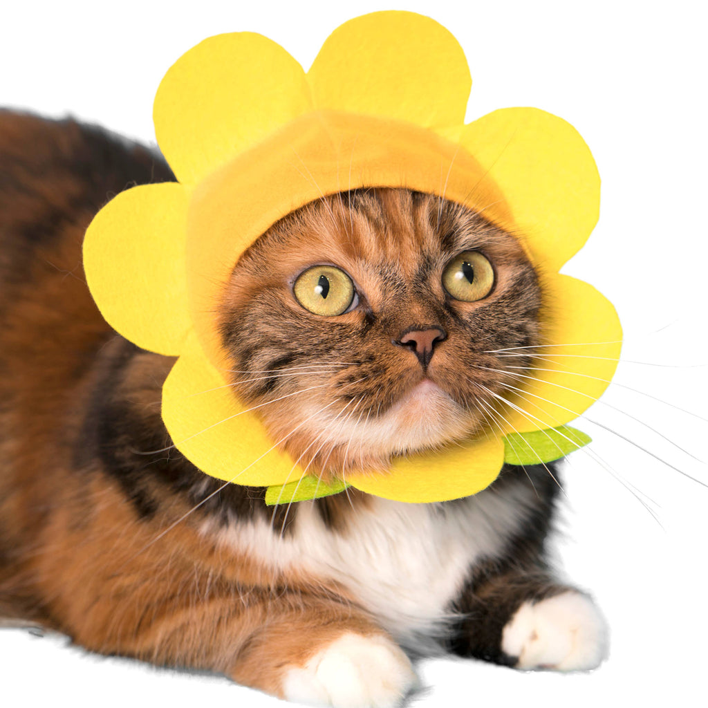 Flower Cap for Cats (Surprise Box) CAT KITAN CLUB   