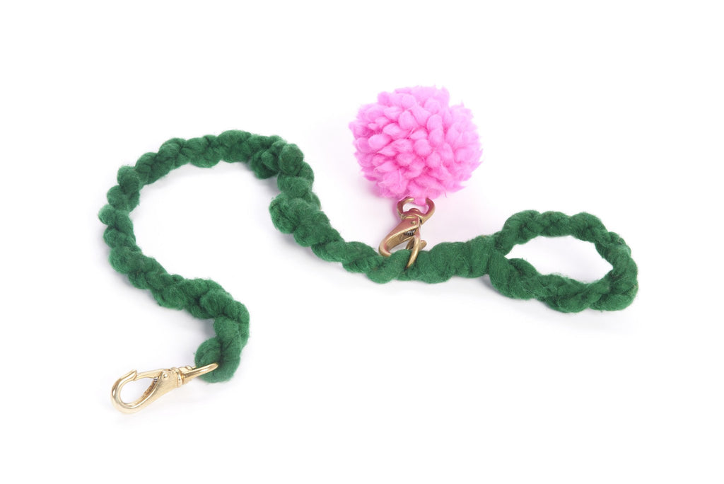 LOOPY MANGO | DIY Dog Leash Kit in Emerald Leash LOOPY MANGO   