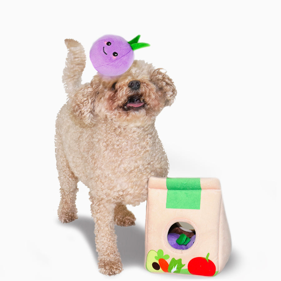 Going to Market Grocery Bag Interactive Dog Toy Play HUGSMART   