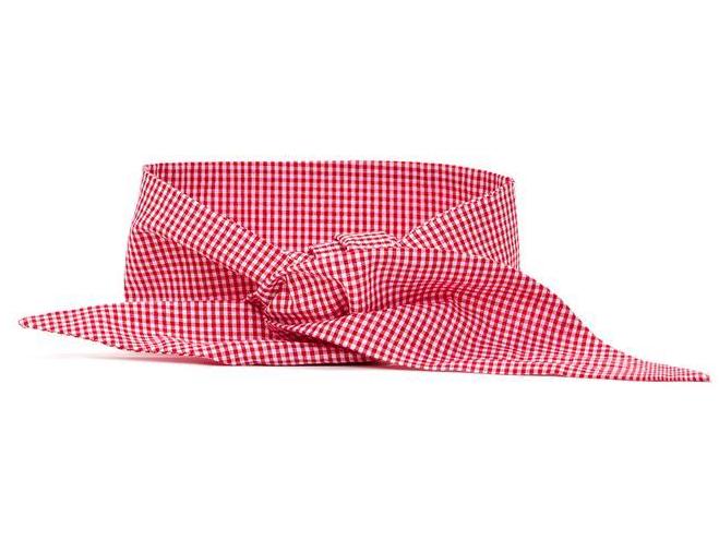 MODERN BEAST | Neck Tie in Red Gingham Accessories MODERN BEAST   