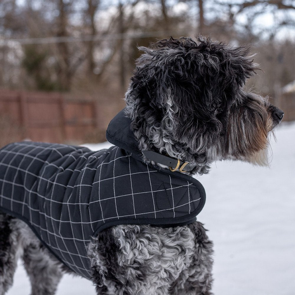 Onyx Waterproof Dog Coat (FINAL SALE) Dog Apparel PACO & LUCIA   