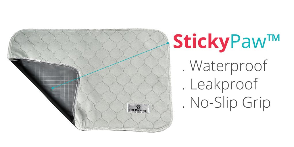 PET PARENTS | Washable Pee Pads (2-pack) clean PET PARENTS   