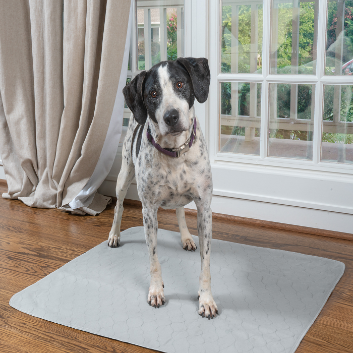 PET PARENTS | Washable Pee Pads (2-pack) clean PET PARENTS   