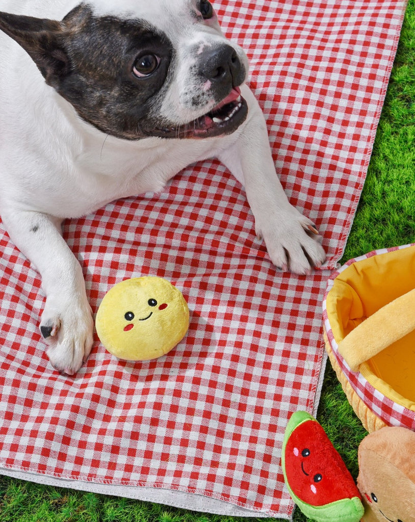 Picnic Basket Interactive Plush Dog Toy Set Play HUGSMART   