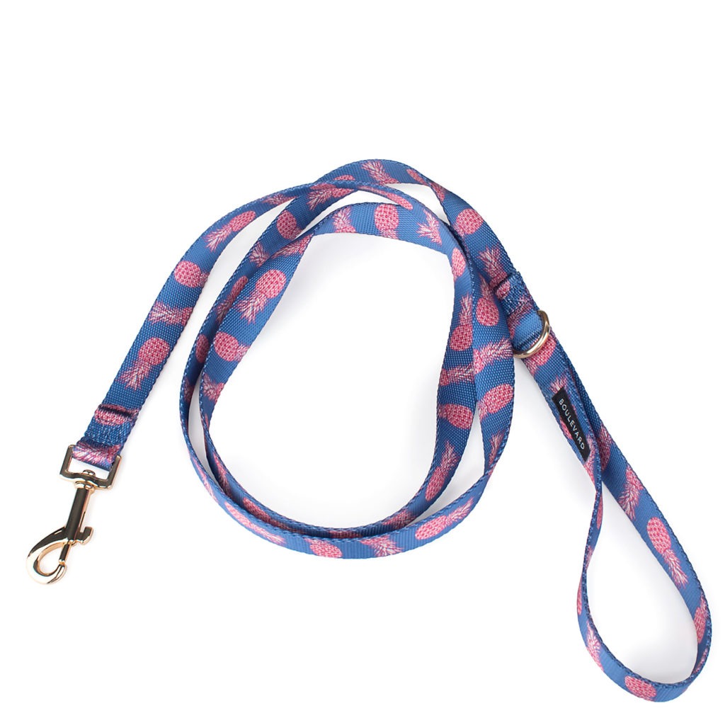 Leash & Water Bowl Set (Drop-Ship) Drop Ship BOULEVARD   