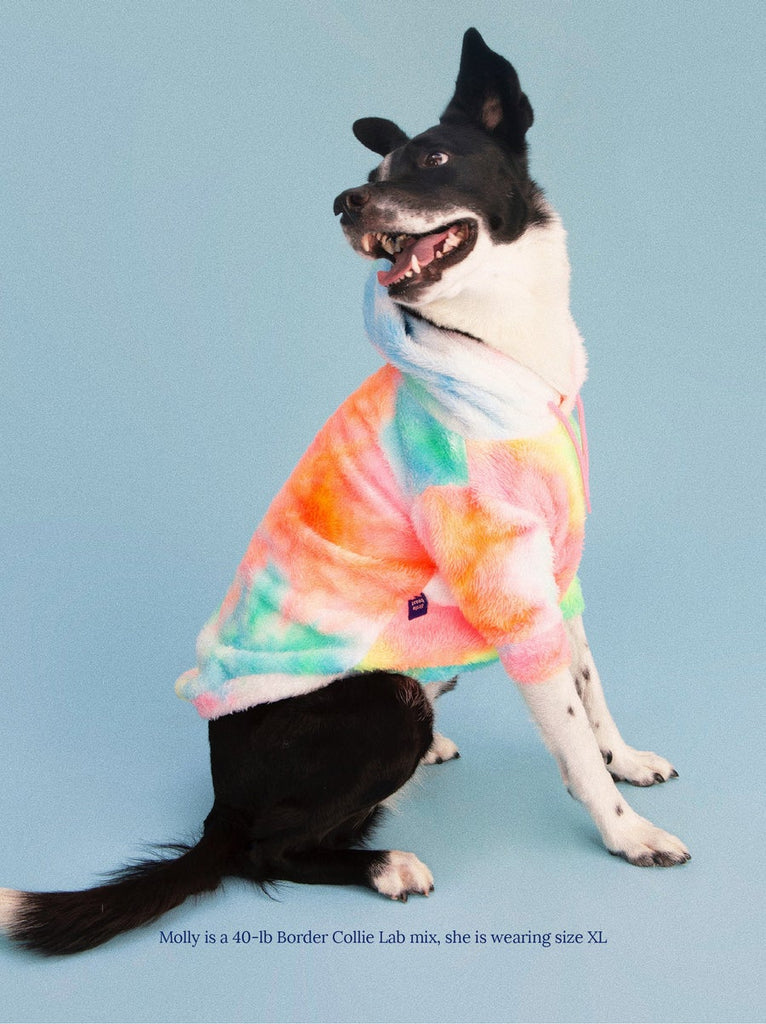 The Pineapple Express Fleece Hoodie<br>((FINAL SALE)) Dog Apparel LITTLE BEAST   