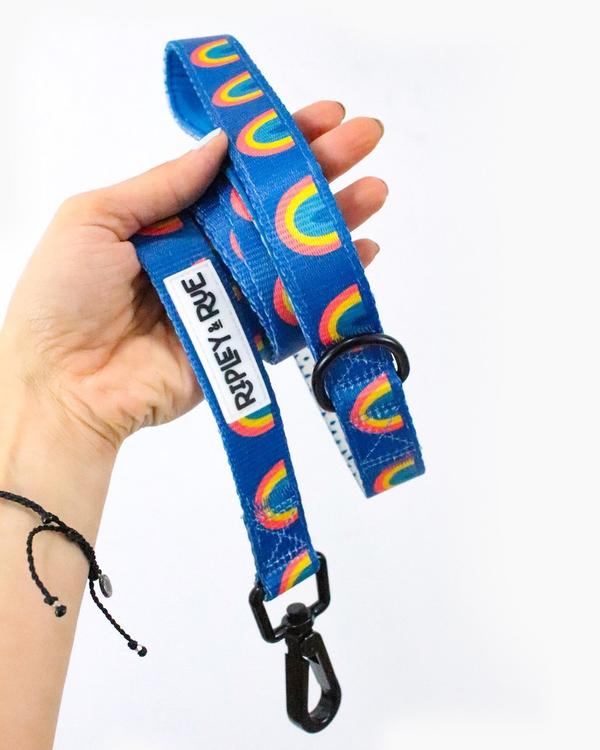 Rainbow Bright Soft Grip Dog Leash WALK RIPLEY AND RUE   