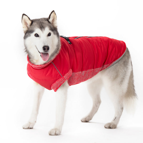 DOGO | Runner Coat in Red (BIG DOG SALE)  DOGO   