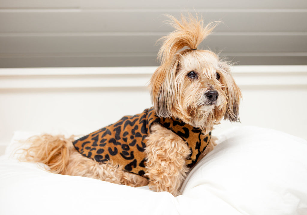 GOLD PAW Stretch Fleece in Leopard DOG