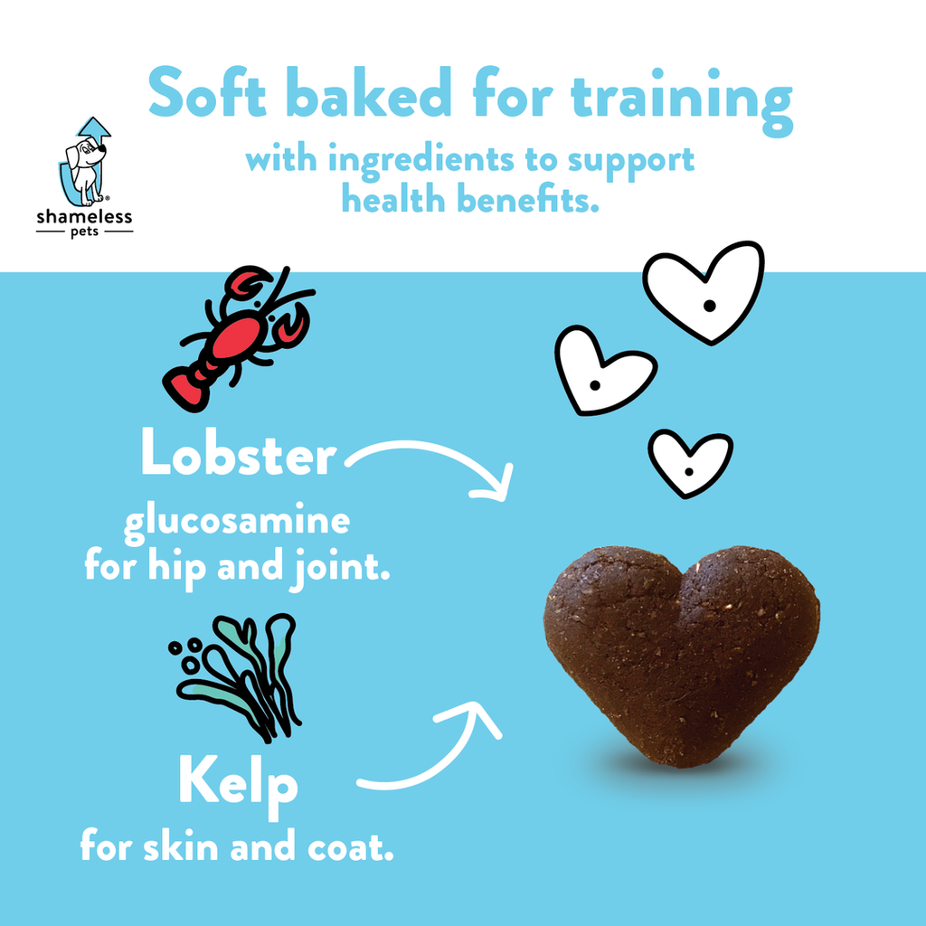 Lobster Roll (Over) Soft Baked Upcycled Dog Treats Eat SHAMELESS PETS   