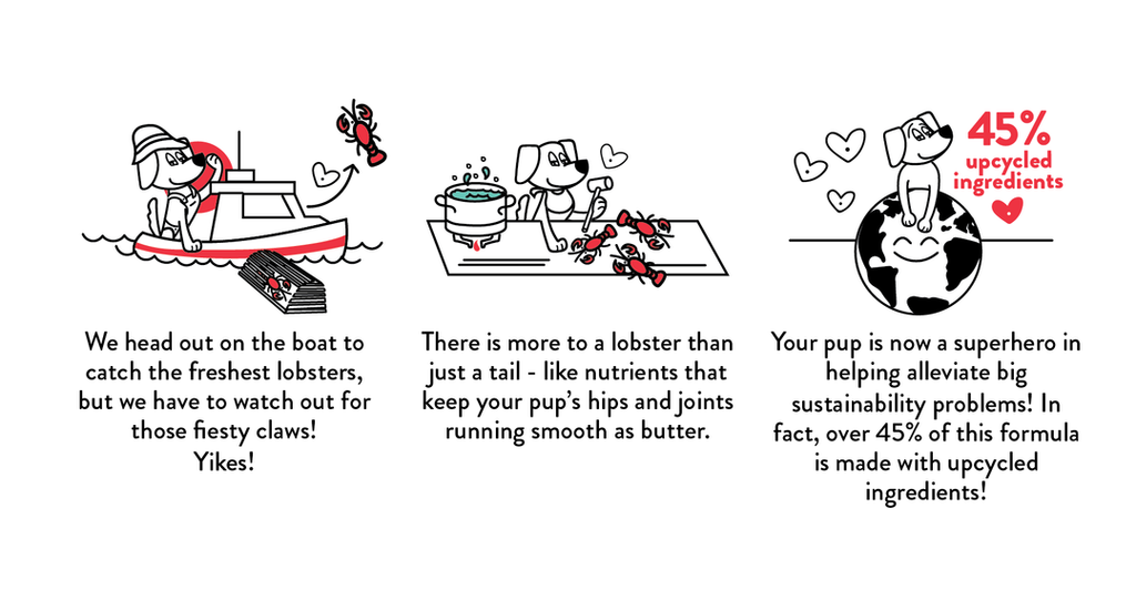 Lobster Roll (Over) Soft Baked Upcycled Dog Treats Eat SHAMELESS PETS   