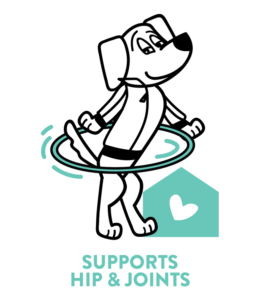 Lobster Roll (Over) Soft Baked Upcycled Dog Treats Eat SHAMELESS PETS   