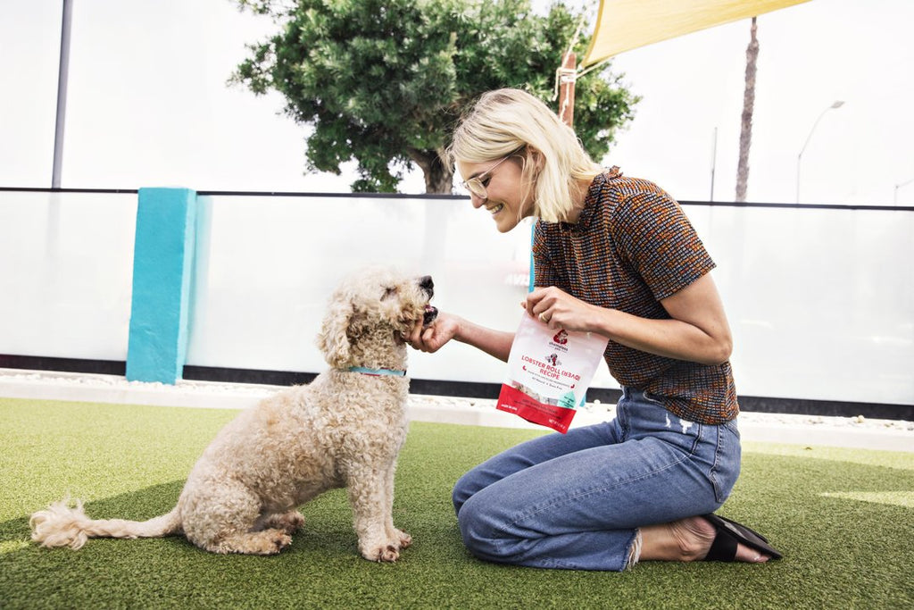 Lobster Roll (Over) Soft Baked Upcycled Dog Treats Eat SHAMELESS PETS   