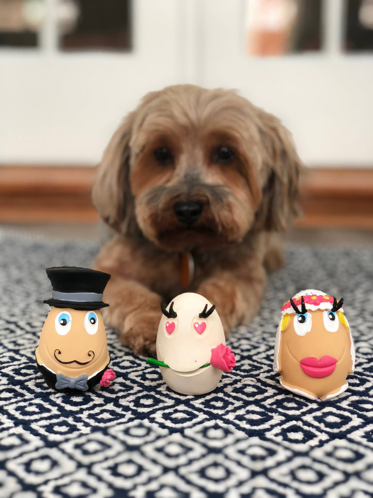 Squeaky Latex Egg Dog Toy Toys LANCO TOYS   