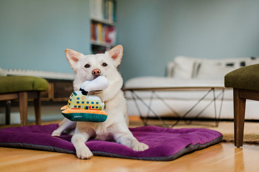 Sydney Ferry Plush Dog Toy Play P.L.A.Y.   