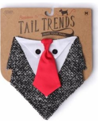 TAIL TRENDS | Raine Formal Bandana Accessories TAIL TRENDS   