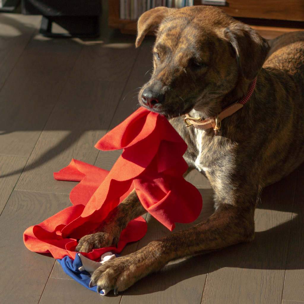 THE FURRYFOLKS | Semo Nosework Toy Toys THE FURRY FOLKS   