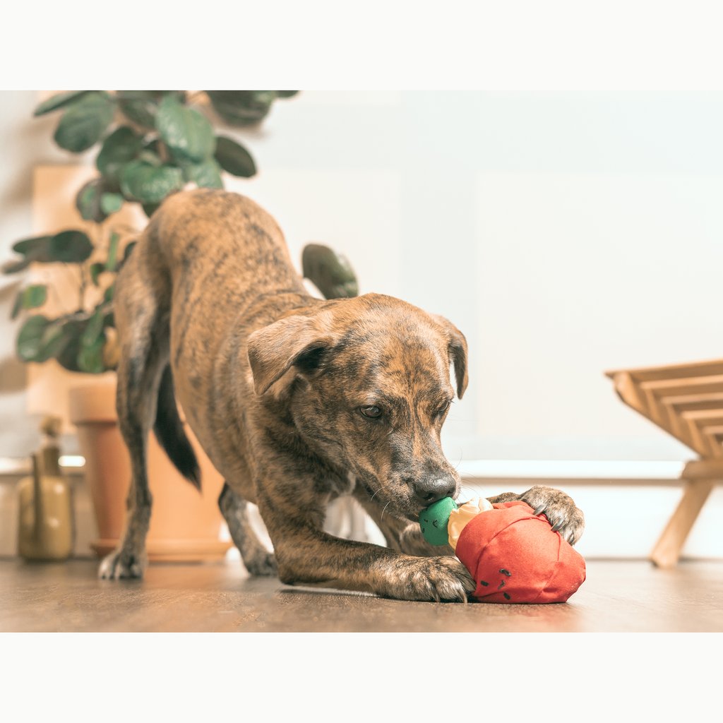 Tomato Interactive Nosework Dog Toy Play THE FURRY FOLKS   