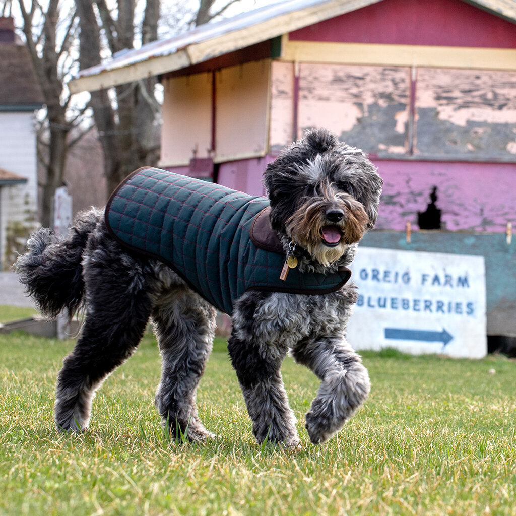 The Traveler Fleece-Lined Waterproof Dog Coat << FINAL SALE >> Wear PACO & LUCIA   