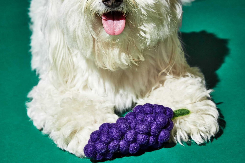 WARE of the DOG | Boiled Wool Grapes Toy Play WARE OF THE DOG   