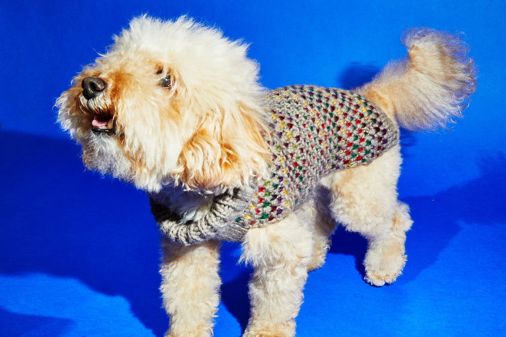 WARE OF THE DOG | Contrast Stitch Sweater Apparel WARE OF THE DOG   