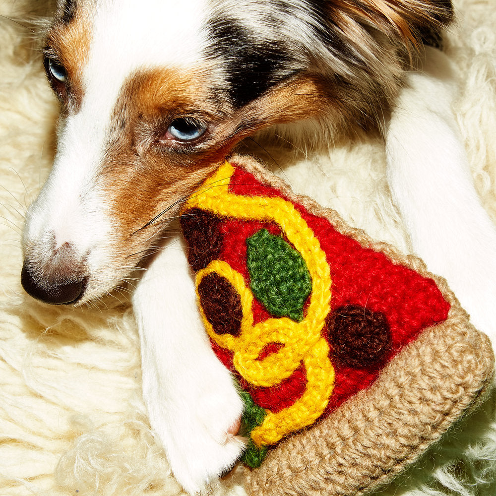 WARE of the DOG | Hand Knit Pizza Play WARE OF THE DOG   