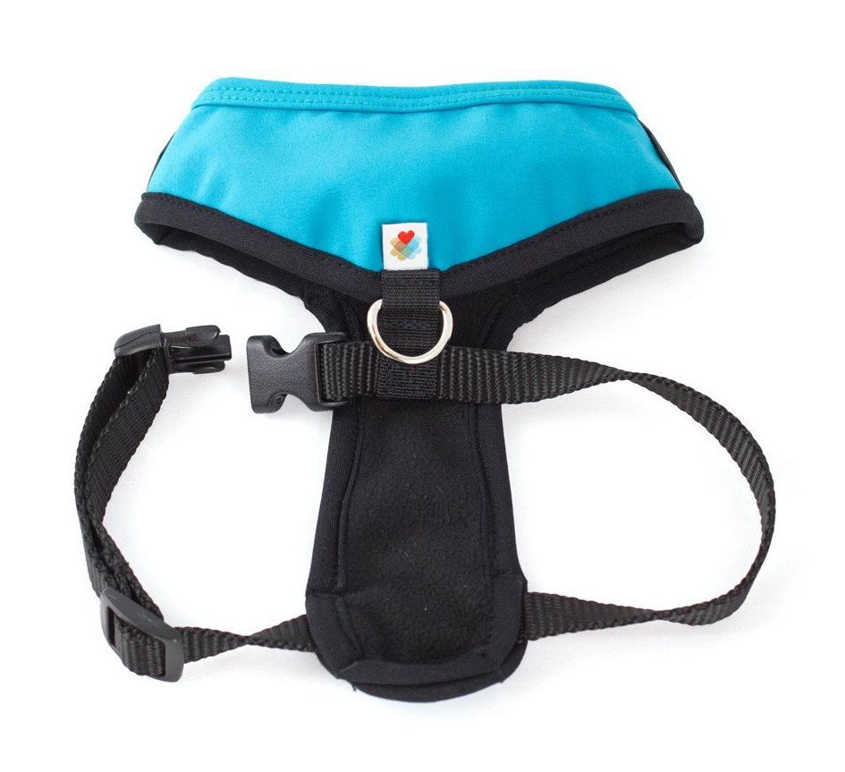 WILDEBEEST | Laguna Harness in Turquoise WALK WILDEBEEST   