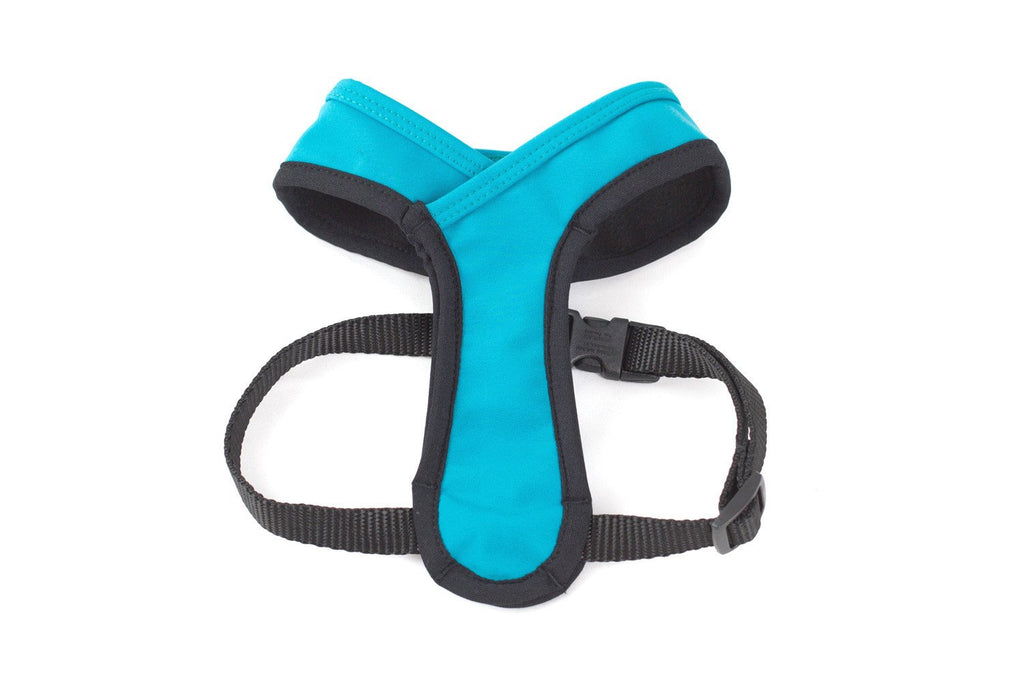 WILDEBEEST | Laguna Harness in Turquoise WALK WILDEBEEST   