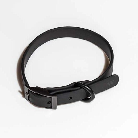 Modern Dog Collar in Black (FINAL SALE) WALK Wild One   