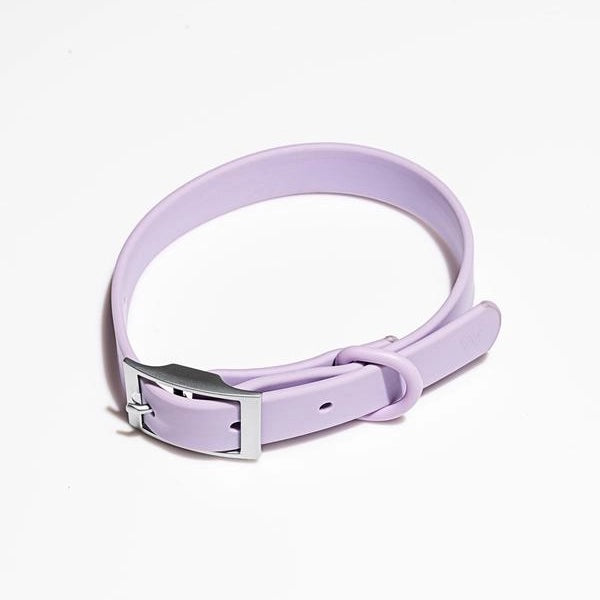 Modern Dog Collar in Lilac WALK WILD ONE   