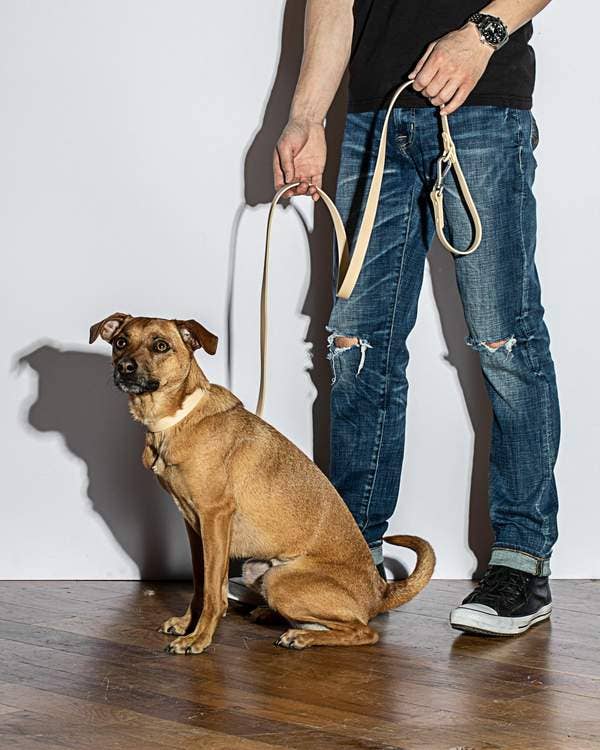 Durable Dog Leash in Tan << FINAL SALE >> WALK Wild One   